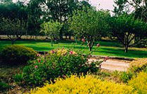 Naracoorte Cottages - Pinkerton Hill - Tourism Adelaide 2