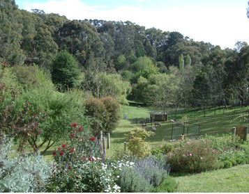 Lorikeet Lane B&B - Tourism Adelaide 1