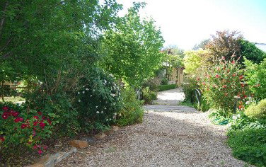 Springton Heritage Bed And Breakfast - Tourism Adelaide 5