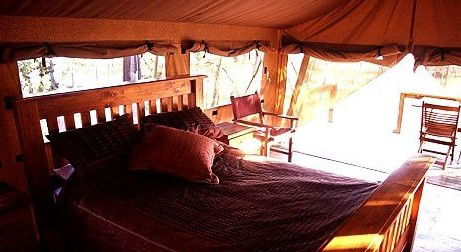 Jabiru Safari Lodge At Mareeba Wetlands - Tourism Adelaide 1