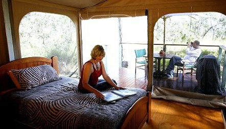 Jabiru Safari Lodge At Mareeba Wetlands - Tourism Adelaide 2