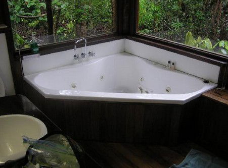 The Canopy Rainforest Tree Houses And Wildlife Sanctuary - Tourism Adelaide 0