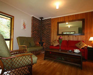 The Canopy Rainforest Tree Houses And Wildlife Sanctuary - Tourism Adelaide 1