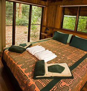 The Canopy Rainforest Tree Houses And Wildlife Sanctuary - Tourism Adelaide 2