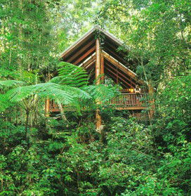 The Canopy Rainforest Tree Houses And Wildlife Sanctuary - Tourism Adelaide 5