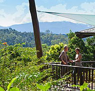 Rose Gums Wilderness Retreat - Tourism Adelaide