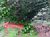 Rivers Edge Rainforest Retreat - Tourism Adelaide 4