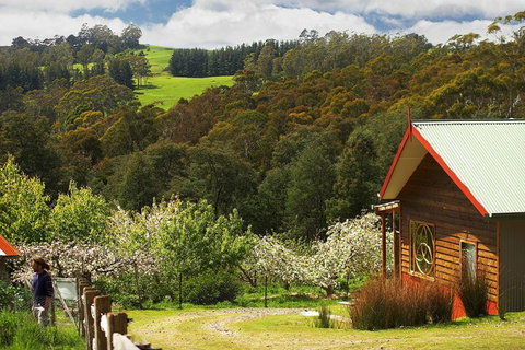 Elvenhome Farm Cottage - Tourism Adelaide 5