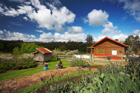 Elvenhome Farm Cottage - Tourism Adelaide 6
