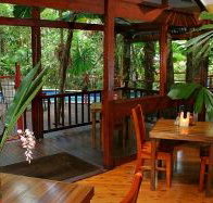 Daintree Wilderness Lodge - Tourism Adelaide
