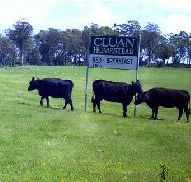 Cluan Homestead - The Managers Residence - Tourism Adelaide
