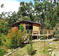 Southern Forest Accommodation - Tourism Adelaide