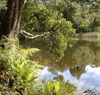 Weldborough Camping Ground - Tourism Adelaide