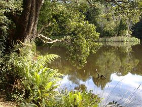 Weldborough Camping Ground - Tourism Adelaide 0