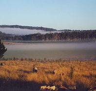 Fonthill - Tourism Adelaide