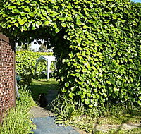 Kirra Guest House - Tourism Adelaide