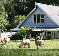 Hide-Away Cottage Retreat - Tourism Adelaide