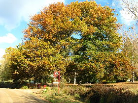 Golconda TAS Tourism Adelaide