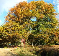 Red Rooster Host Farm - Tourism Adelaide