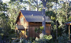 Cradle Mountain Highlanders - Tourism Adelaide 1