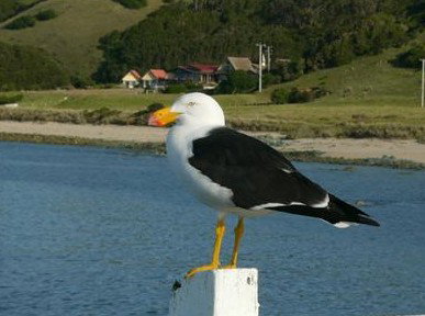 Rocky Glen Retreat By The Beach - Tourism Adelaide 1