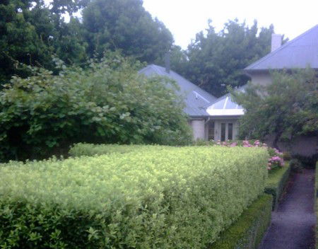 Old Wesleydale Heritage Accommodation - Tourism Adelaide 3