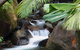 Daintree Secrets (Award Winning Retreat) - thumb 1