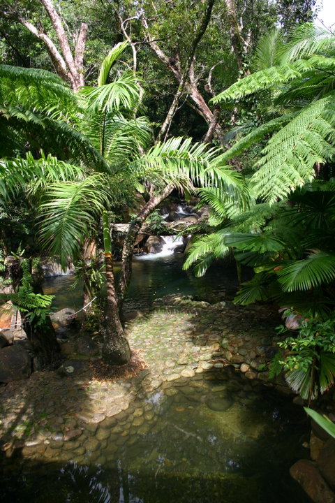 Daintree Secrets (Award Winning Retreat) - Tourism Adelaide 4