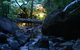 Daintree Secrets (Award Winning Retreat) - thumb 6