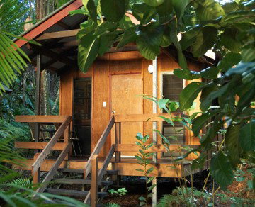 Cape Trib Beach House YHA - Tourism Adelaide 4