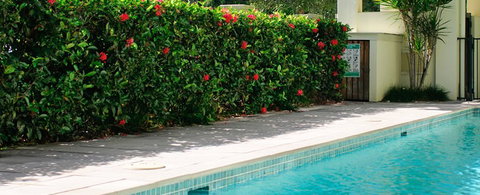 Cairns Beachfront Apartment - Tourism Adelaide 5