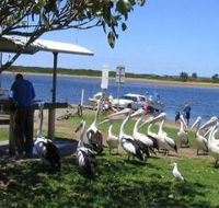 Mountain View Caravan and Mobile Home Village - Tourism Adelaide