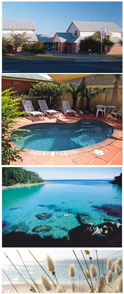 Dolphin Shores Motor Inn - Tourism Adelaide 1