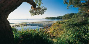 Dolphin Shores Motor Inn - Tourism Adelaide 2