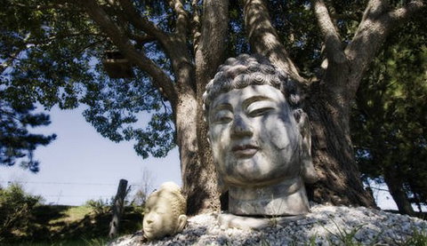 Banksia Garden Retreat - Tourism Adelaide 1