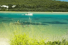 Wooli Camping and Caravan Park - Tourism Adelaide