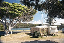 Wooli Camping And Caravan Park - Tourism Adelaide 2