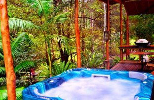 A Waterfall Hideout-Rainforest Cabin For Couples - Tourism Adelaide 5