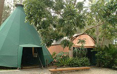 Arts Factory Backpackers Lodge - Tourism Adelaide 0