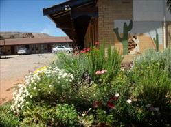 Silver Spade Motel - Tourism Adelaide 3