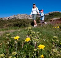 Horizons Apartment 407 - Tourism Adelaide