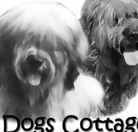 2 Dogs Cottages - Tourism Adelaide