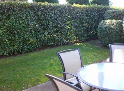 Boronia Lodge Apartments - Tourism Adelaide 3