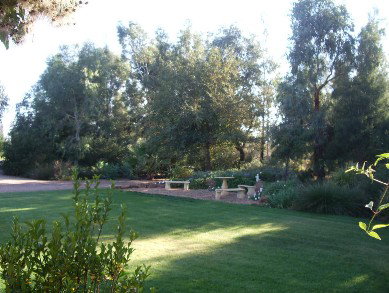 Wilga Park Cottage - Tourism Adelaide 4