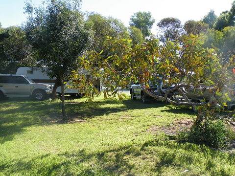 Kyalite Caravan Park - Tourism Adelaide 3