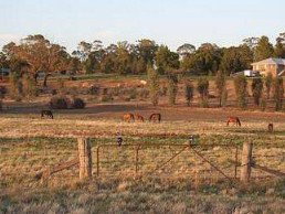 Junee Motor Inn - Tourism Adelaide 2