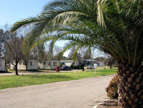 Leeton Caravan Park - Tourism Adelaide 1