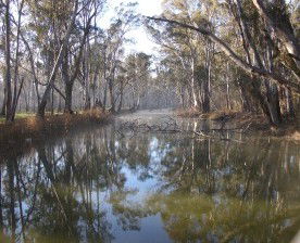 Gulpa Retreat Tourist Park - Tourism Adelaide 2
