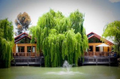 Perricoota Vines Retreat - Tourism Adelaide 0