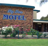 Fig Tree Motel - Tourism Adelaide